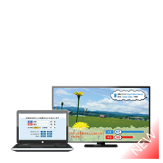 QUMO2