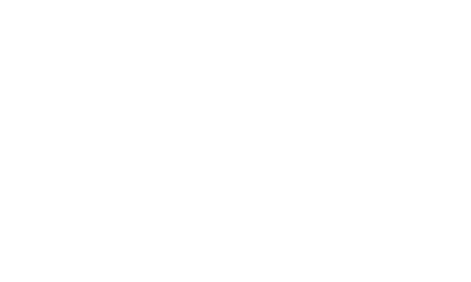 UNVEIL NEXT LEVEL